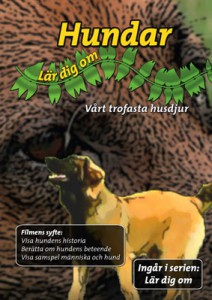 hundar_web hundar_web